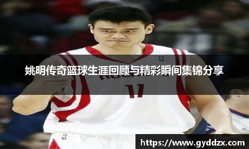 emc易倍体育